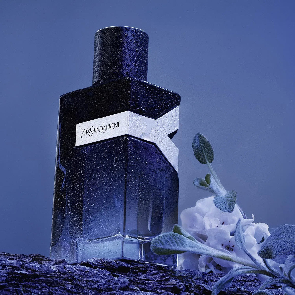 YVES SAINT LAURENT Y 100ml